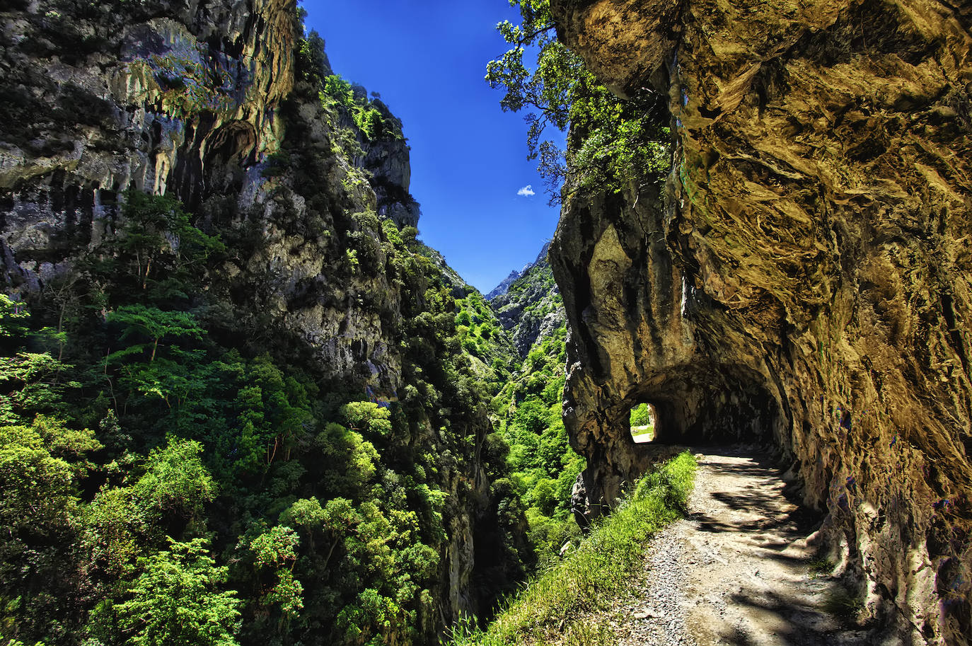 El Parque Nacional de los Picos de Europa cuenta con las cumbres más altas de la Cordillera Cantábrica, lo que indudablemente le da un enorme atractivo paisajístico, turístico y deportivo. Es el tercer Parque Nacional más visitado de España, con casi dos millones de visitantes anuales y fue declarado Reserva de la Biosfera en 2003.