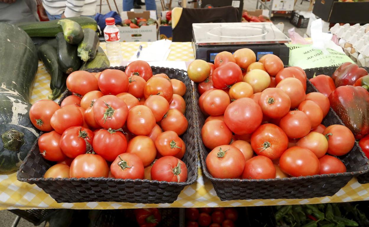 Torrelavega celebra el I Festival Internacional del Tomate del 27 al 29 de agosto