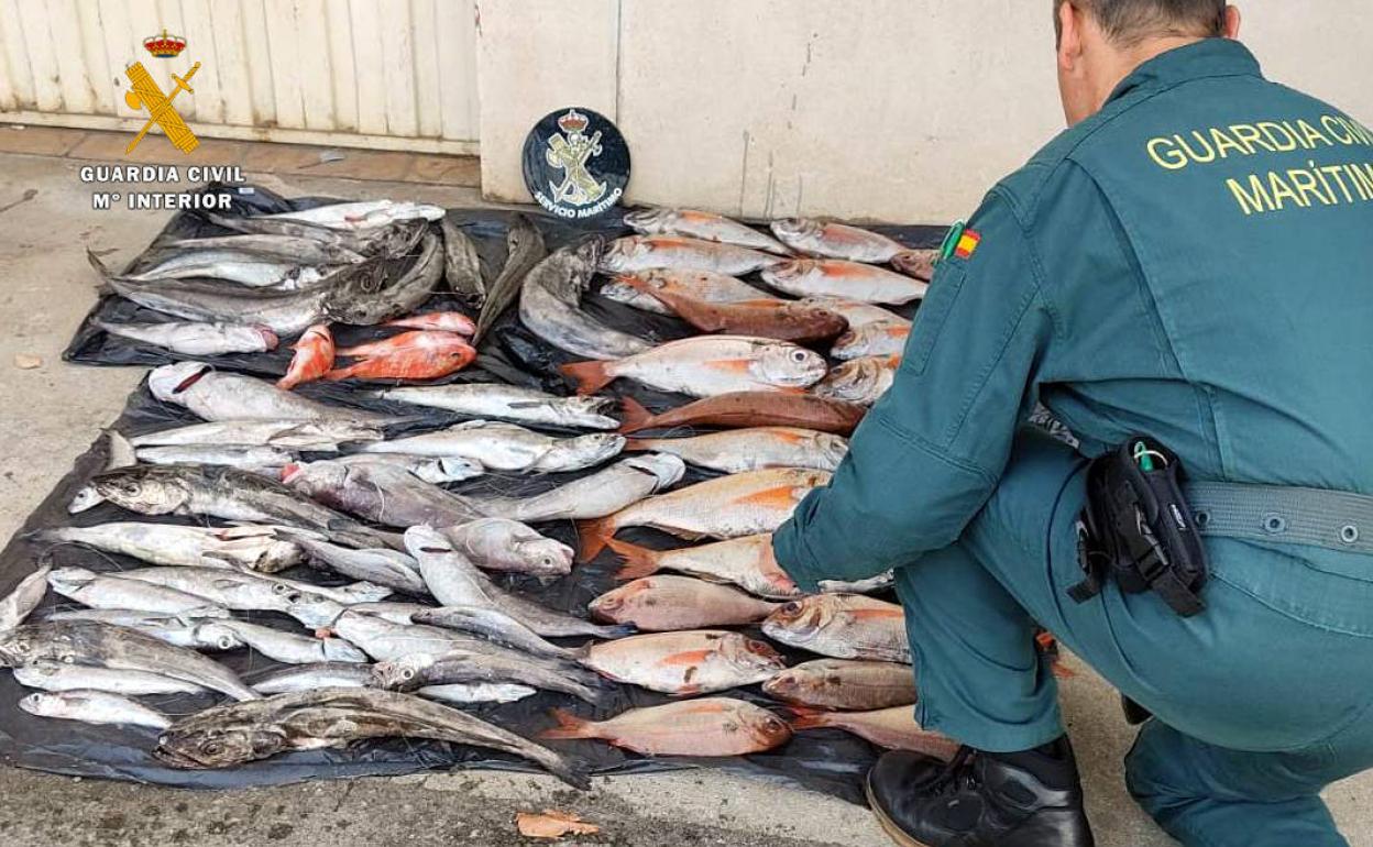 El pescado intervenido por la Guardia Civil se donó a una entidad benéfica.