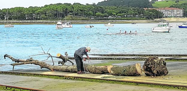 En los últimos días han sido retirados del agua dos grandes troncos, uno junto al puerto y el otro en mar abierta.