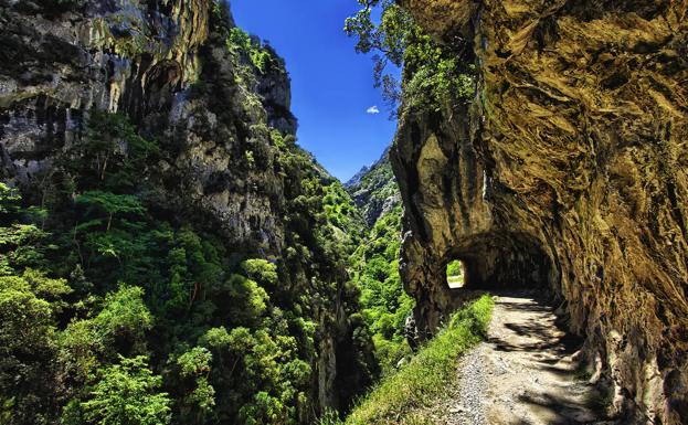 Imagen. Los Picos de Europa, un monumental espectáculo.