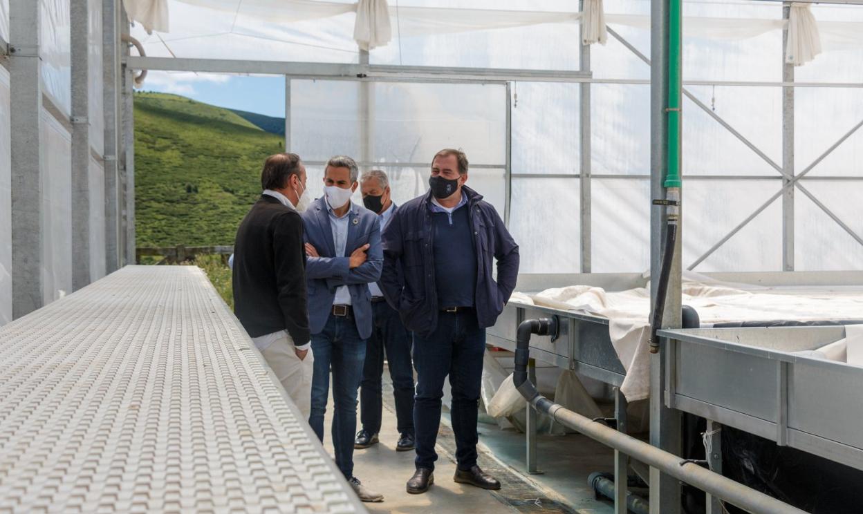 El vicepresidente cántabro Pablo Zuloaga visitó las instalaciones, que se adaptarán al cultivo hidropónico de microgerminados. 
