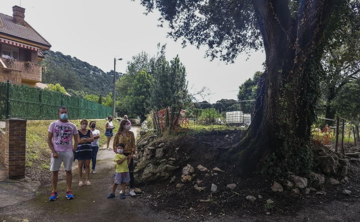 Un grupo de vecinos del barrio La Garma, en Arce, no entienden el por qué una serie de errores deben de pagarlos la encina centenaria. 