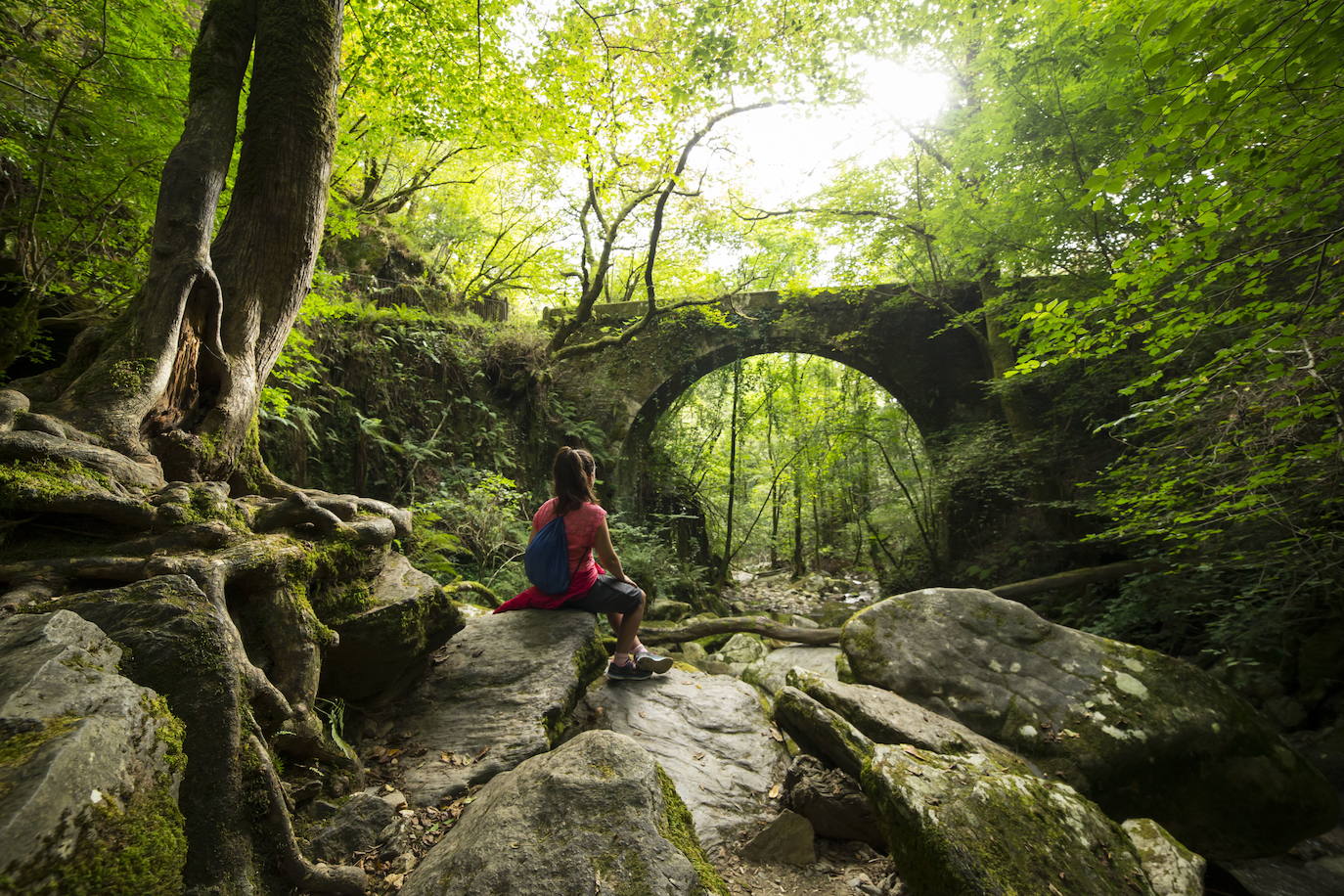 Fragas do Eume (Galicia)