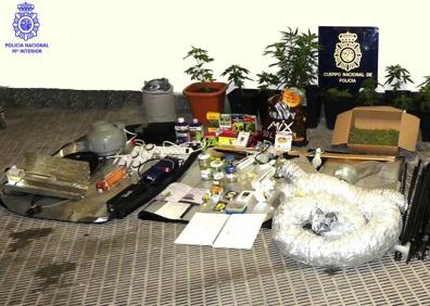 Imagen secundaria 1 - Desmantelada una plantación de marihuana en Tanos