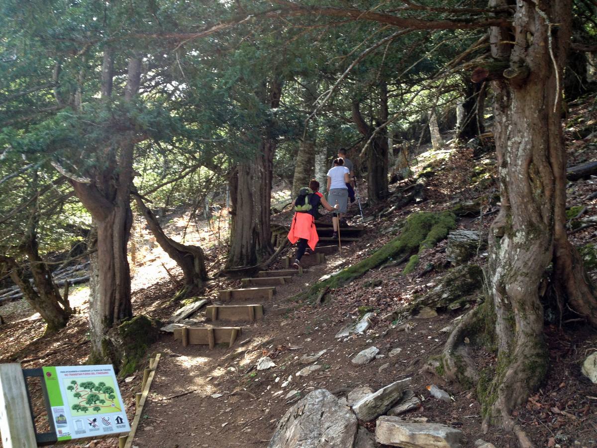 Fotos: Escapada a la Montaña Palentina: la magia de la Tejeda de Tosande