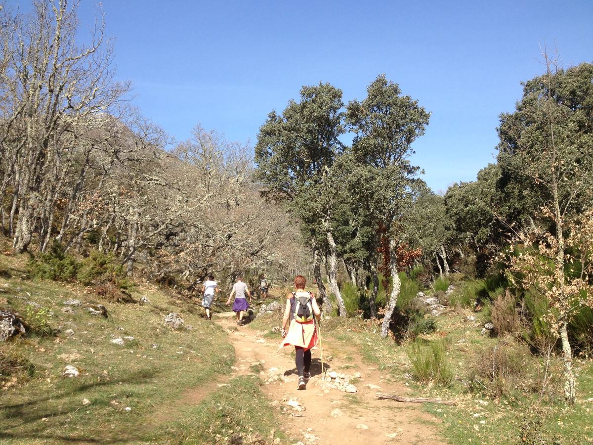 Fotos: Escapada a la Montaña Palentina: la magia de la Tejeda de Tosande