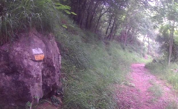 Recorremos el Cares pero de una forma diferente y no tan popular como la famosa senda del mismo nombre. Esta vez a través de un bonito tramo el que disfrutaréis de algunas de las mejores vistas de los Picos de Europa