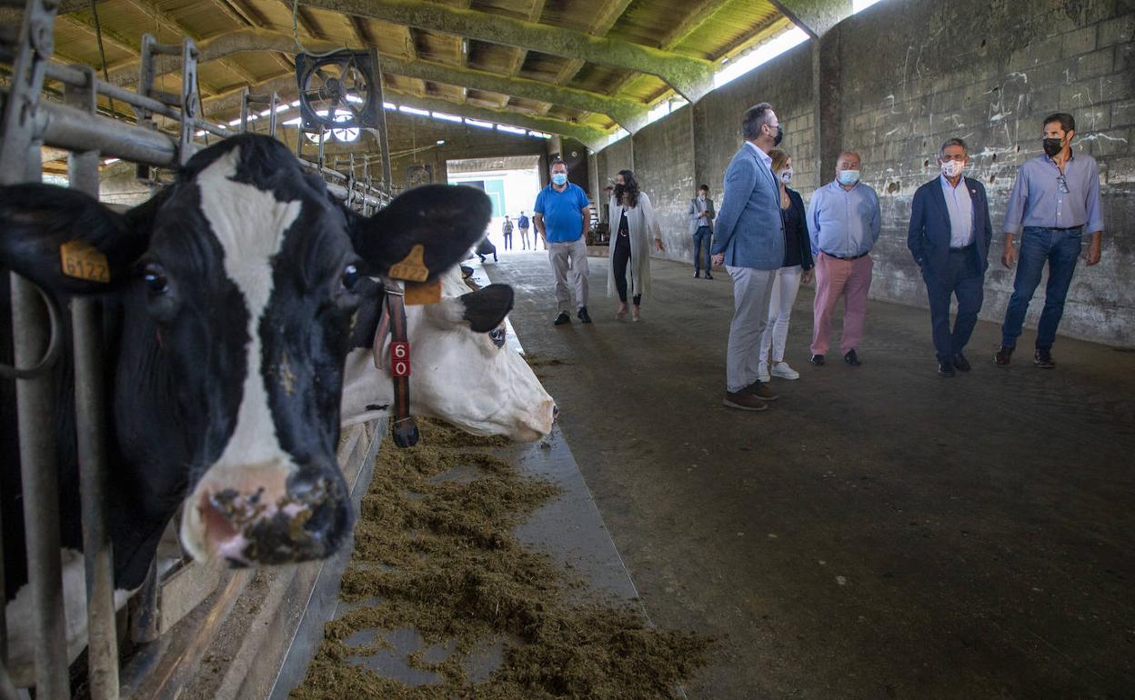 Revilla apoya a los ganaderos tras la petición de Garzón de comer menos carne: «Son los principales ecologistas»