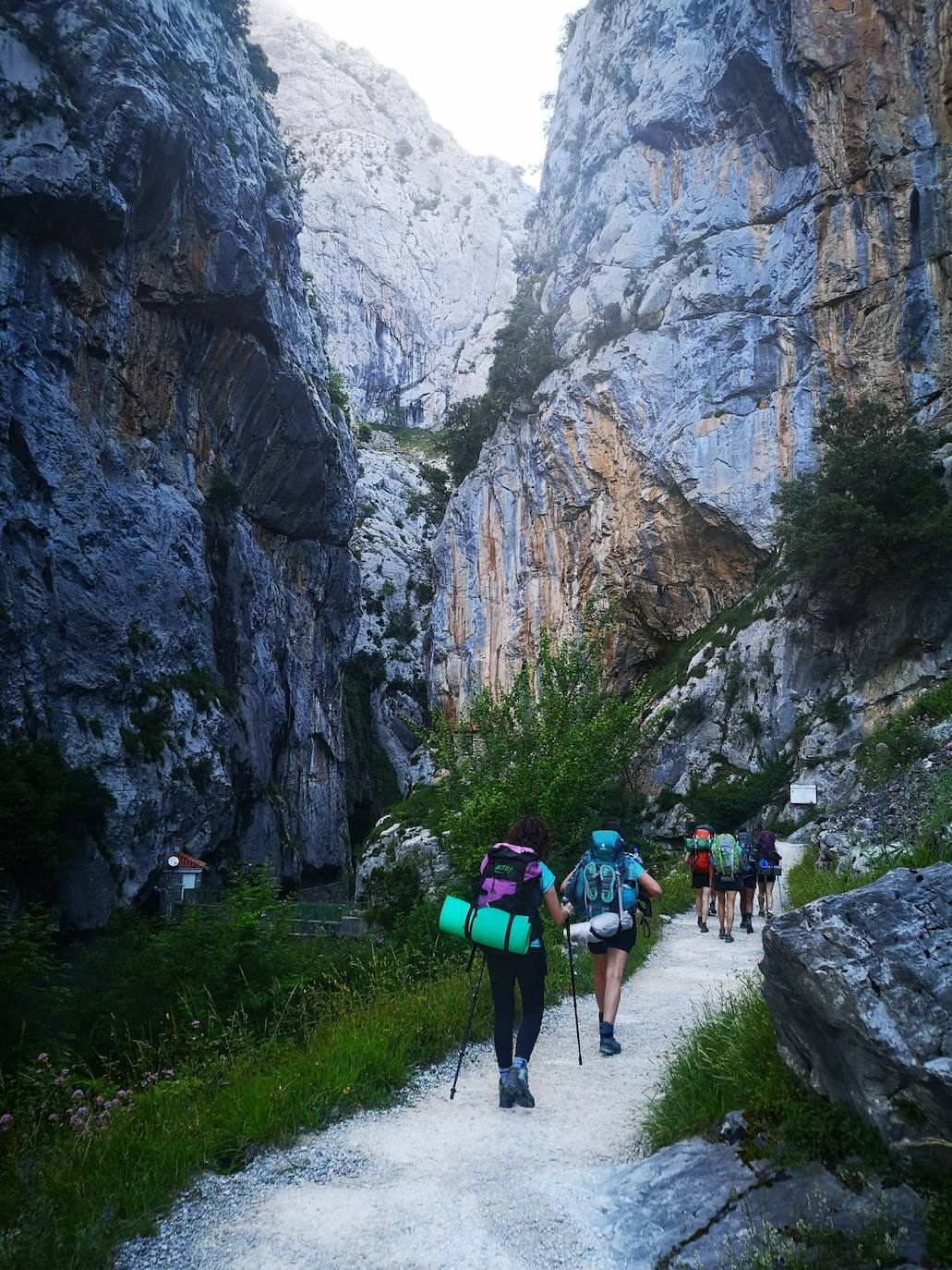 Pertenecen al grupo de Facebook 'Montaña en Femenino' y se han conocido para disfrutar de esta experiencia. Durante el camino confiesan que se han cruzado con montañeros a los que «les chocaba vernos juntas en el monte o, más bien, sin una figura masculina que tutelase al grupo»