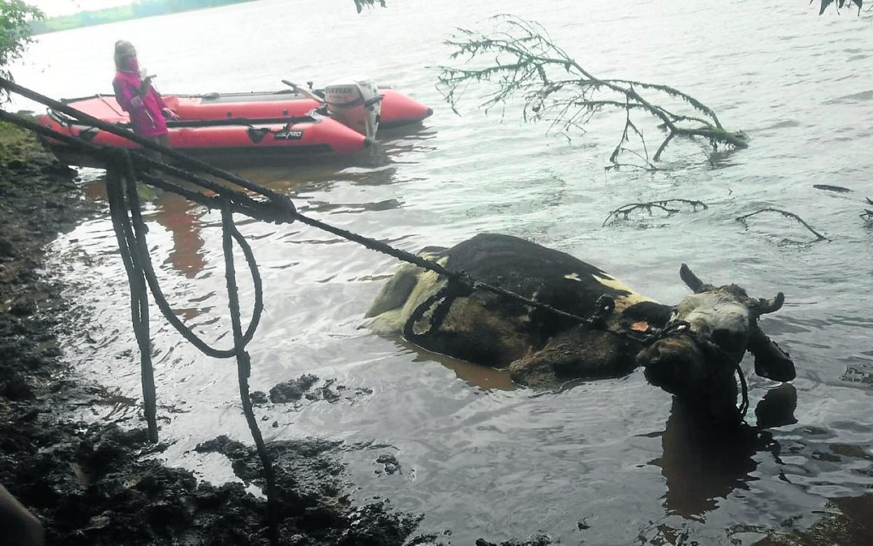 Desde Salvamento Marítimo se envió una zódiac de la Cruz Roja, pero el rescate fue inviable. 