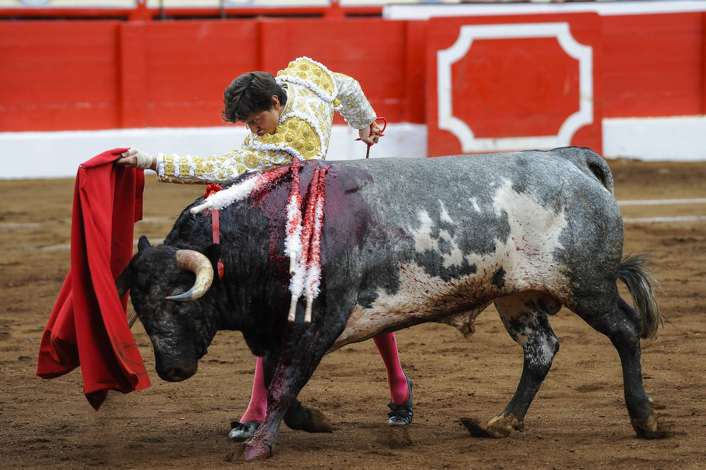 Miguel Ángel Perera cortó tres orejas y Ureña y Roca Rey pasearon un trofeo cada uno en una exigente corrida con el hierro de La Quinta.