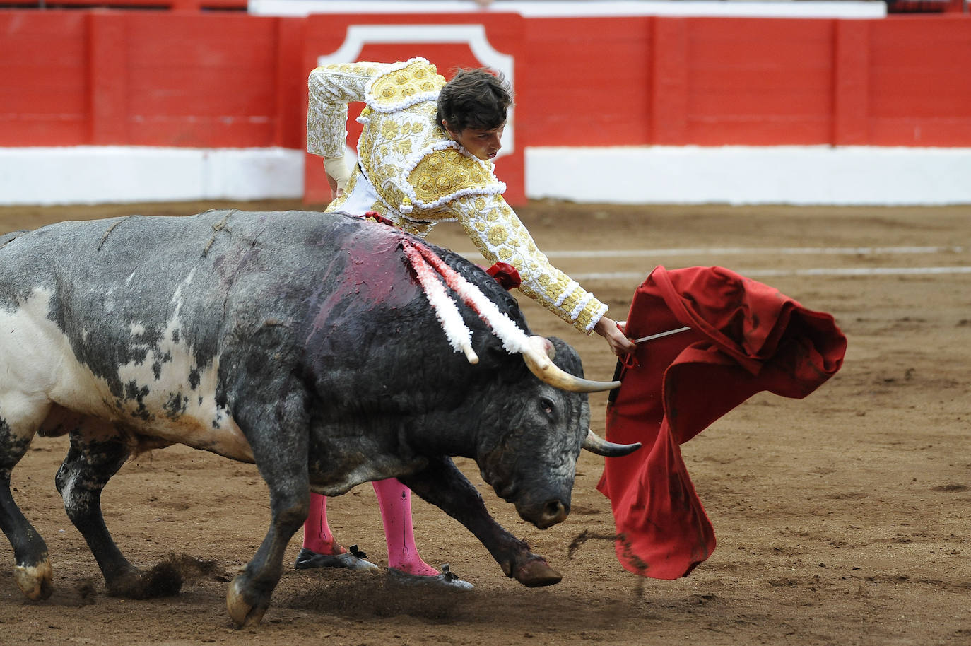 Miguel Ángel Perera cortó tres orejas y Ureña y Roca Rey pasearon un trofeo cada uno en una exigente corrida con el hierro de La Quinta.