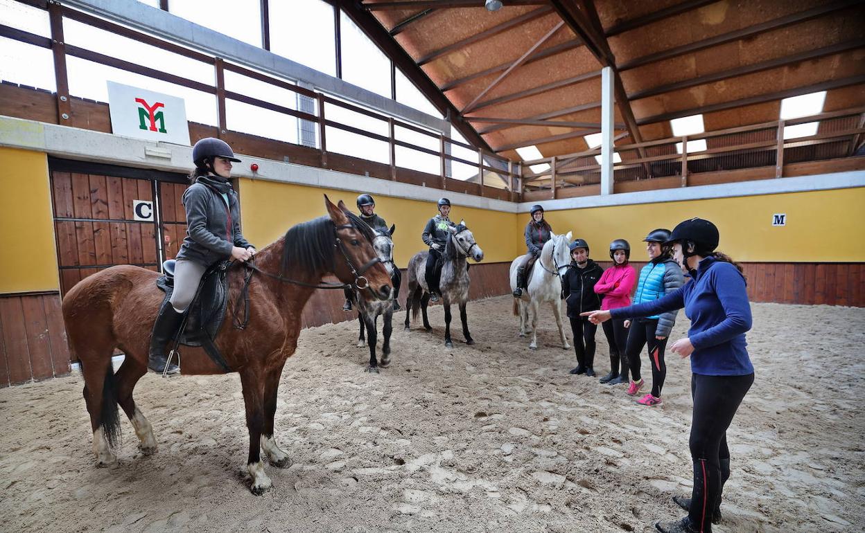 El proyecto IBIO apuesta por el sector ecuestre como vía para potenciar el emprendimiento social de Cantabria