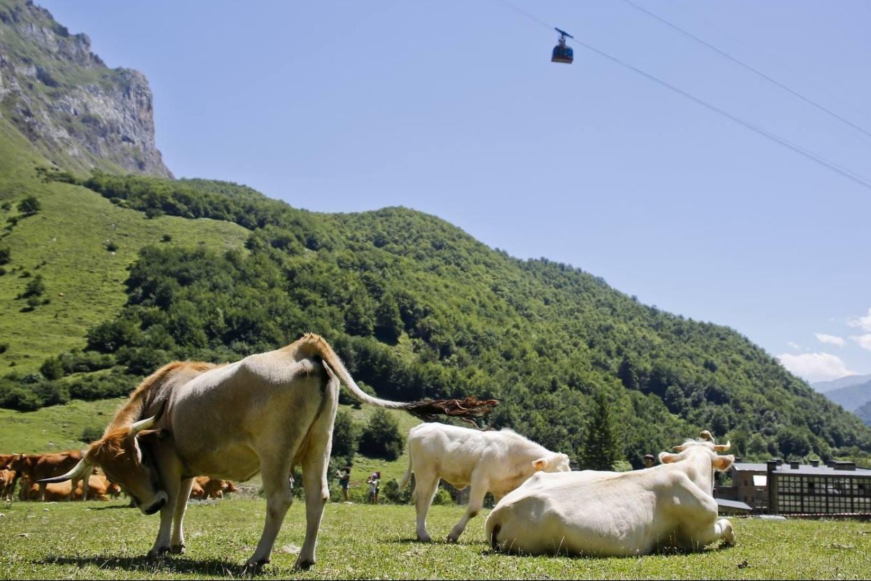 Imagen. El teleférico de Fuente Dé, un 'ascensor' al paraíso de Picos de Europa.