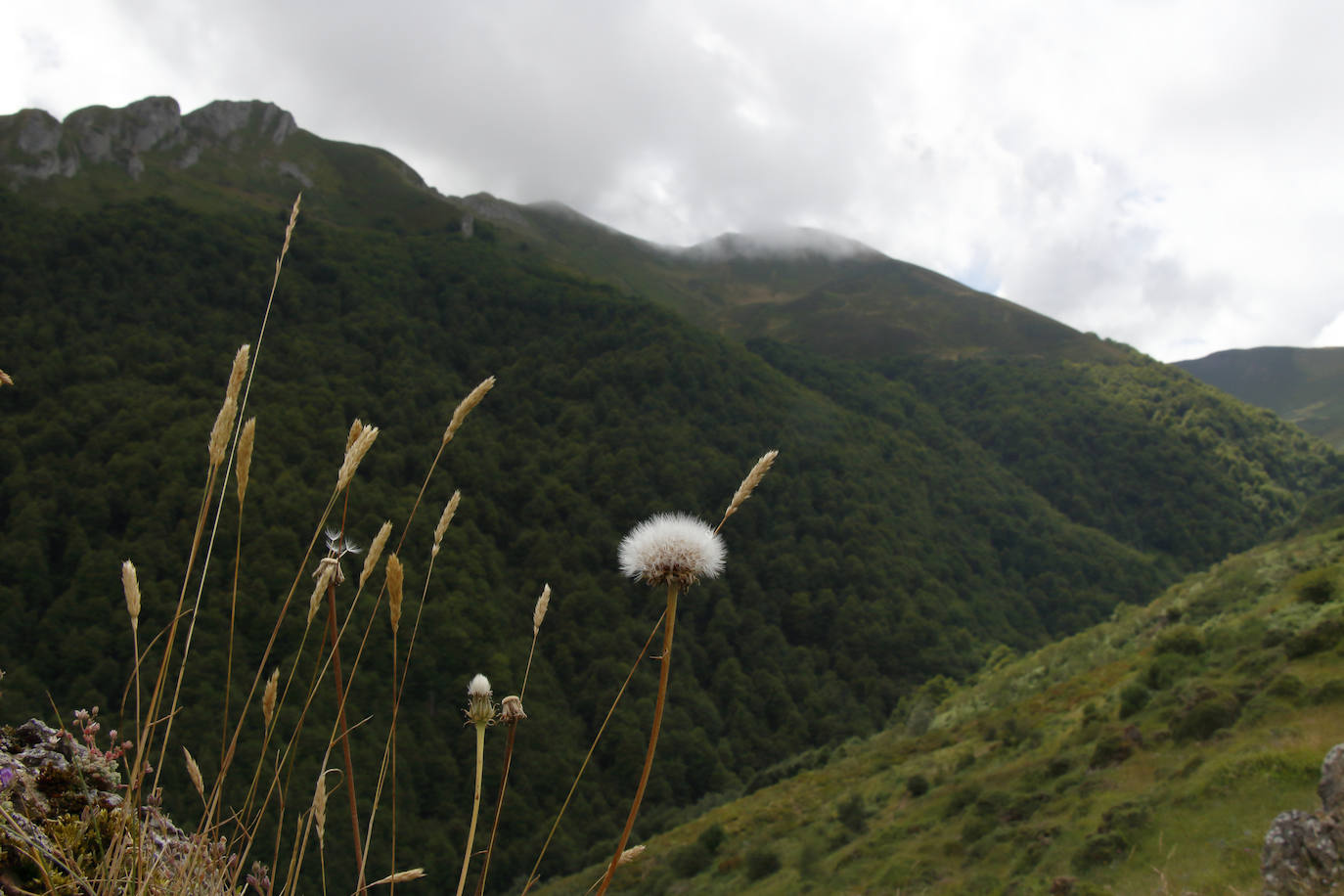 Fotos: Liébana: De Fuente De a Pedabejo