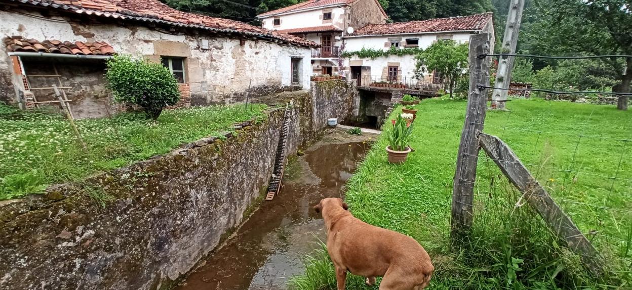 Parte delantera del molino en la que se observa el canal que llega hasta la maquinaria debajo del edificio.