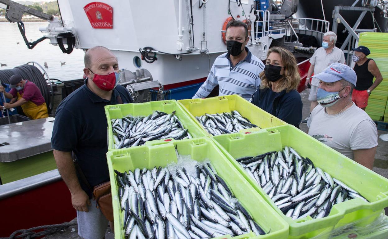 Finaliza la costera del bocarte con 12.600 toneladas en Cantabria que han generado 18 millones euros