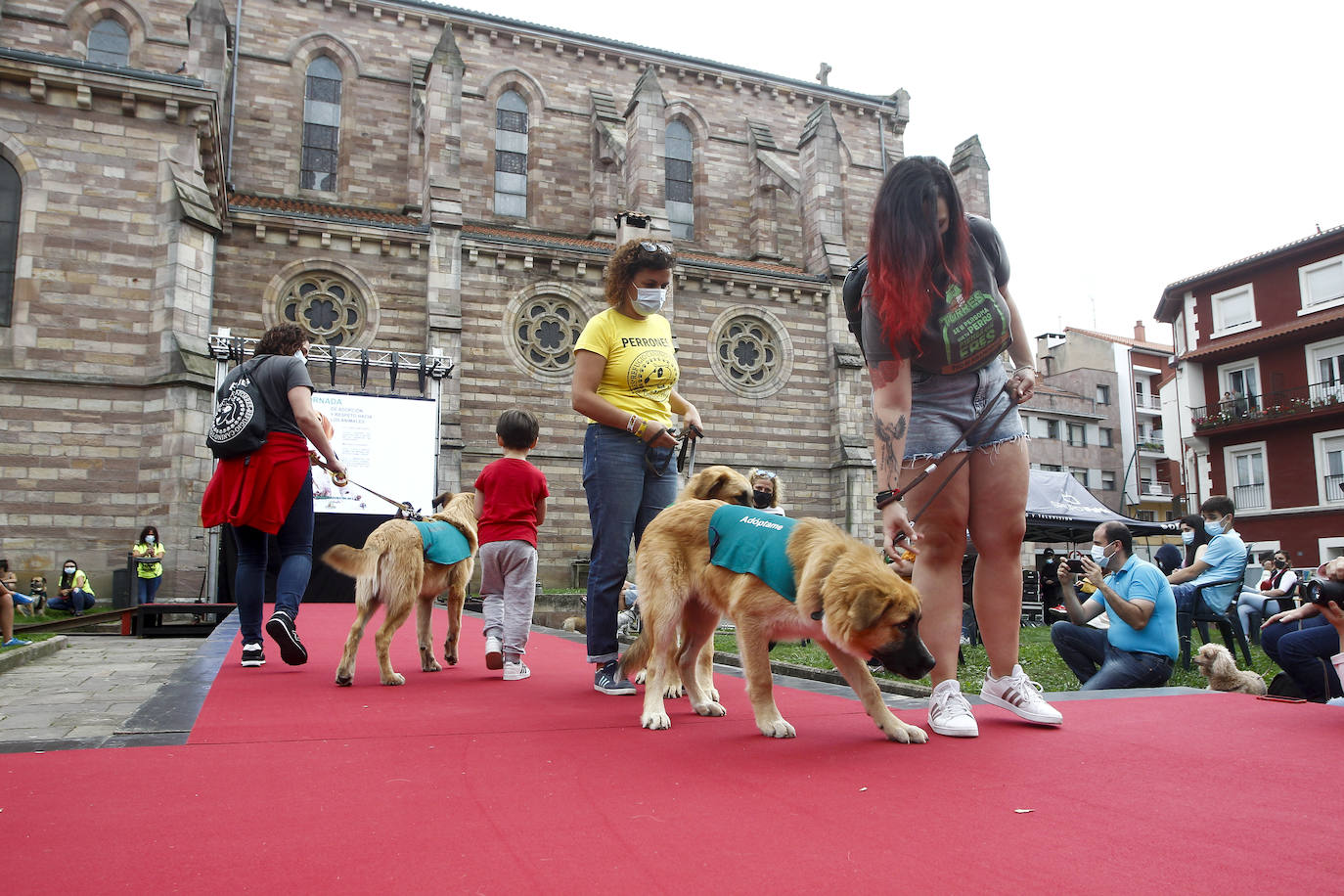 Fotos: Los perros, bendecidos por La Patrona