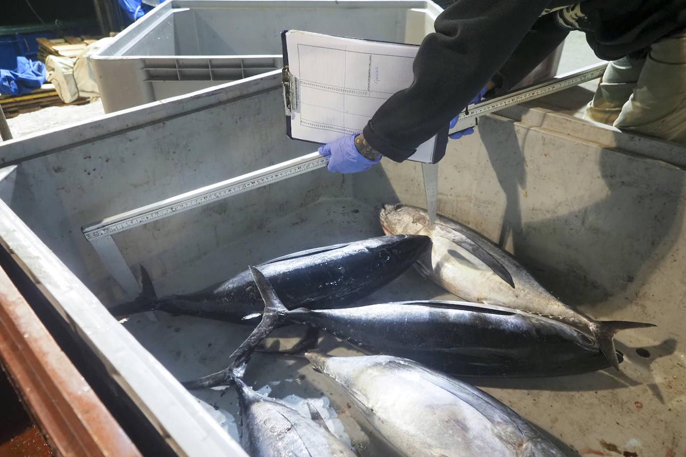 Los pescadores, en su despedida a la campaña de este verano.