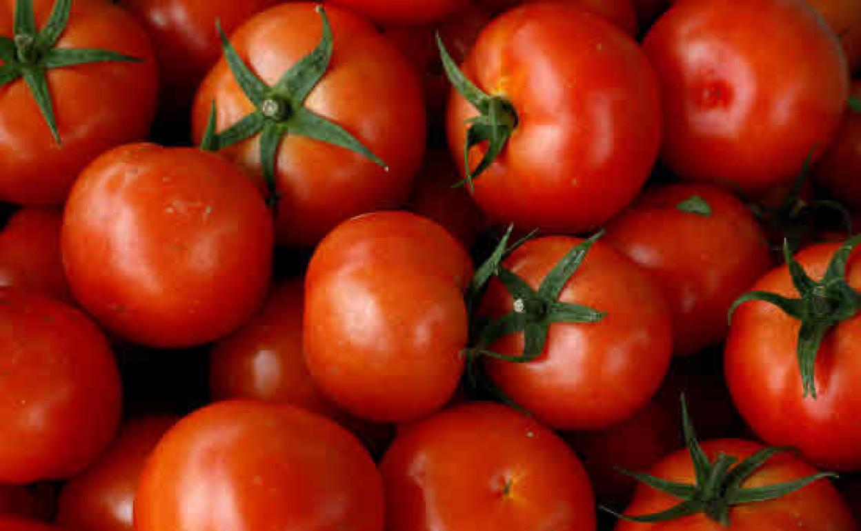 Torrelavega acoge este fin de semana el primer Festival del Tomate de Cantabria