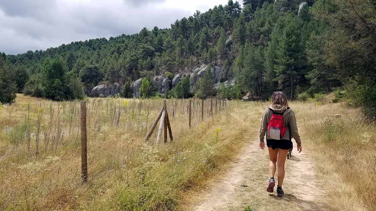 Fotos: Recorrer las esculturas naturales que el río Lobos ha esculpido