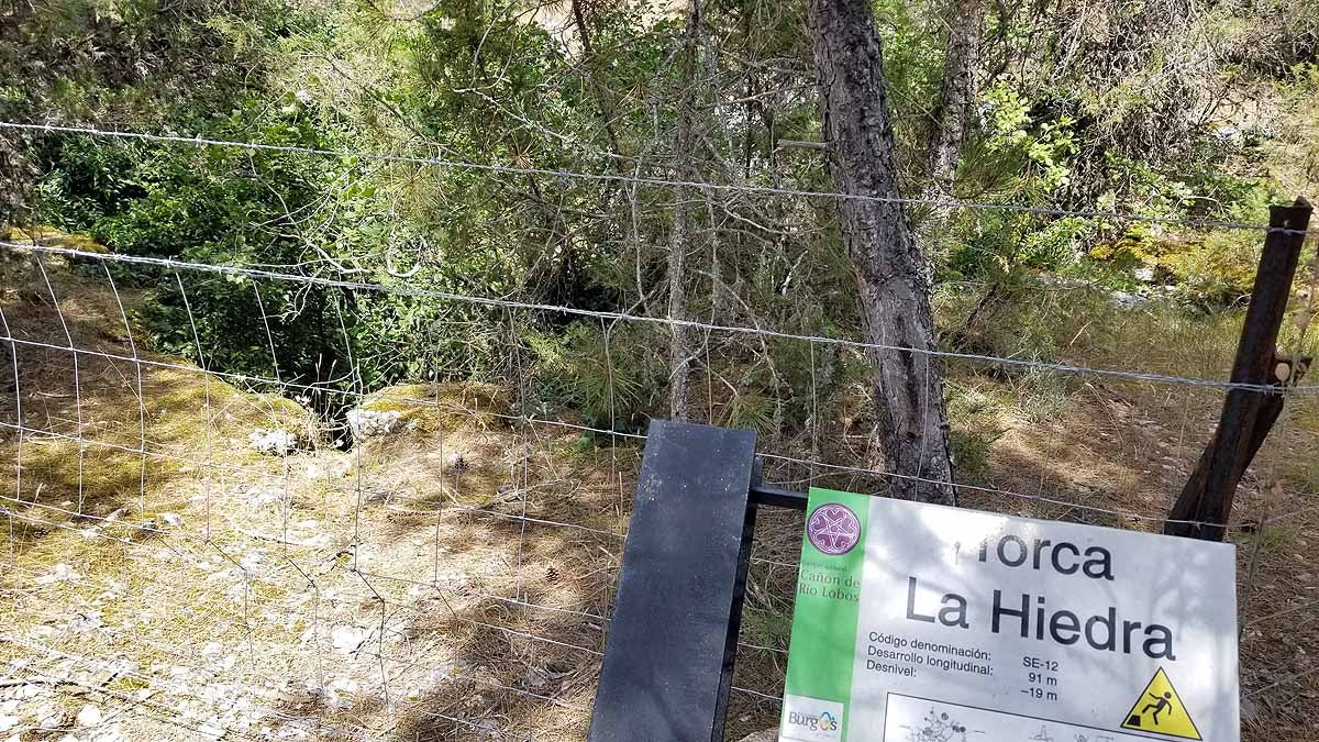 Fotos: Recorrer las esculturas naturales que el río Lobos ha esculpido