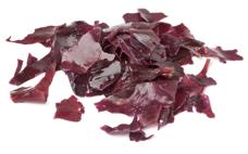 Dulse 