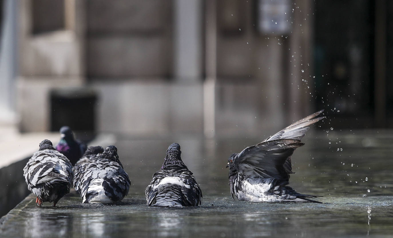 Fotos: Así ha sido la mañana de calor en Cantabria