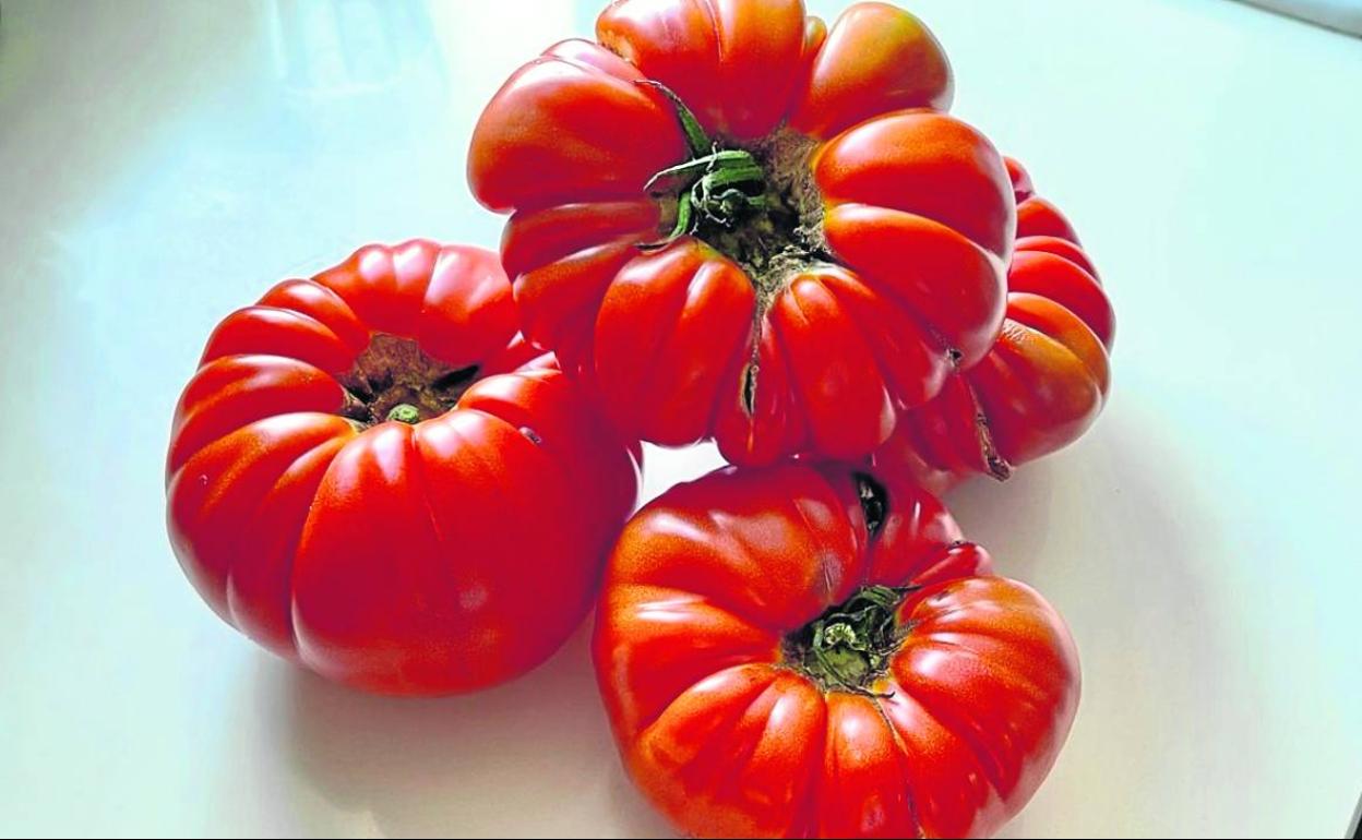 Los tomates de Ginés, de Udalla, son perfectos para esta receta. 