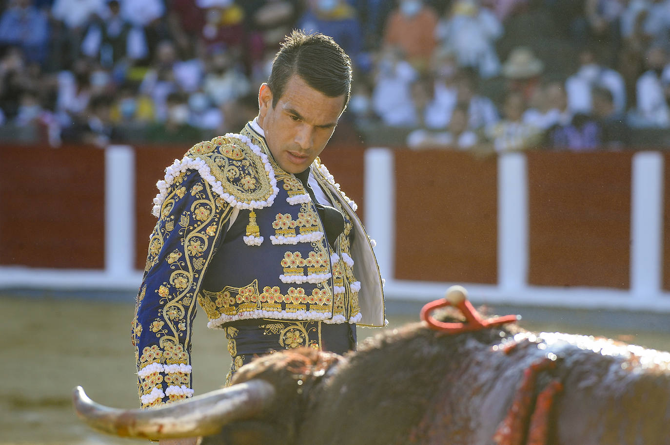 Fotos: Tarde de toros en Santoña