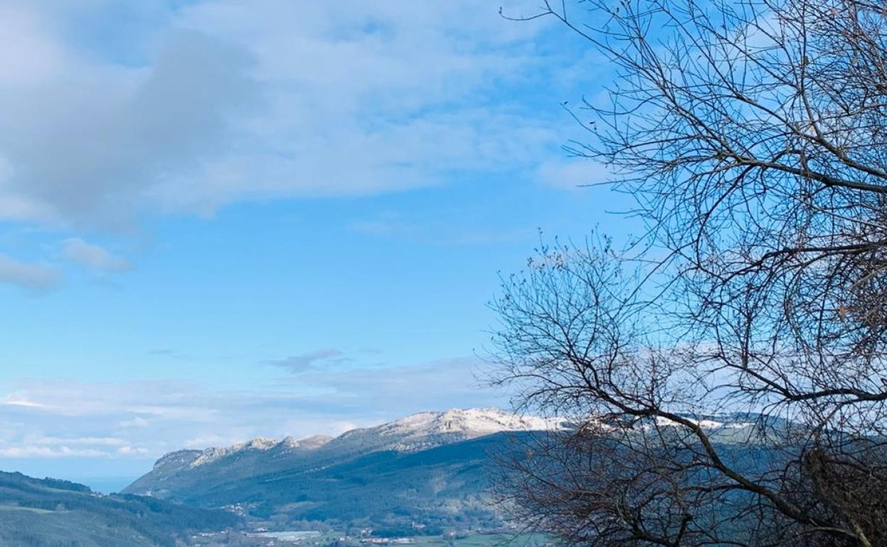 Paisaje del valle guriezano.