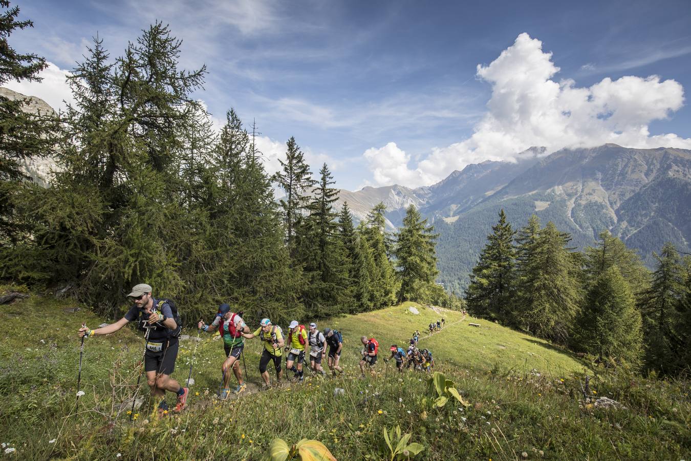 Es una de las carreras más emblemáticas del mundo del ultra trail por sus 330 kilómetros y 24.000 metros de desnivel positivo que recorre el valle italiano de Aosta. Bautizada por sus creadores como la Carrera de los Gigantes, presenta un extraordinario itinerario por las Vias Altas nº1 y 2 que recorren la falda de grandes cimas como el Mont Blanc, el Cervino, el Monte Rosa y el Gran Paradiso, atravesando hasta 25 collados por encima de los 2.000m de altitud. 