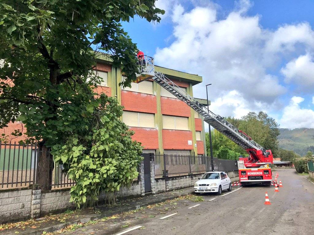 Fotos: Retirada de árboles y otros destrozos provocados por el viento