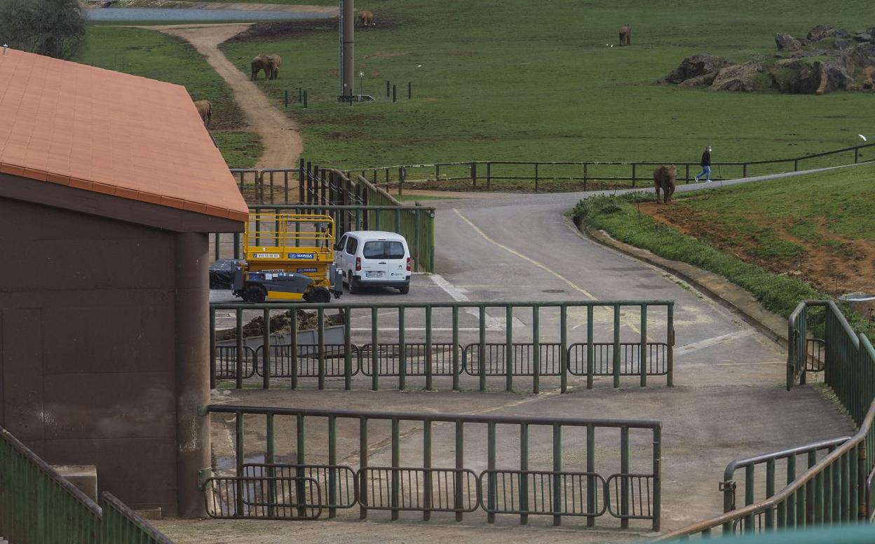 Imagen del recinto de elefantes del Parque de Cabárceno. sane