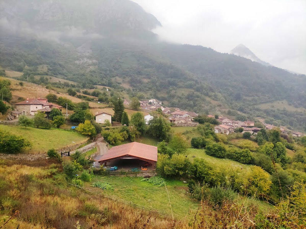 Bermiego (Asturias): La aldea de Bermiego se sitúa en el concejo de Quirós y es capaz de enamorar al visitante desde el primer segundo. Sus calles estrechas, sus casas de piedra con sabor tradicional, sus hórreos y la vegetación que acompaña su paisaje tienen gran culpa de ello. Un escenario de cuento, en el que parece que el tiempo se detiene. En él también encontraremos auténticos tesoros de la naturaleza como el Tejo de Bermiego, un árbol milenario que es el de mayor edad de Asturias y uno de los más antiguos de Europa. Este legendario tejo se levanta junto a la Iglesia de Santa María.