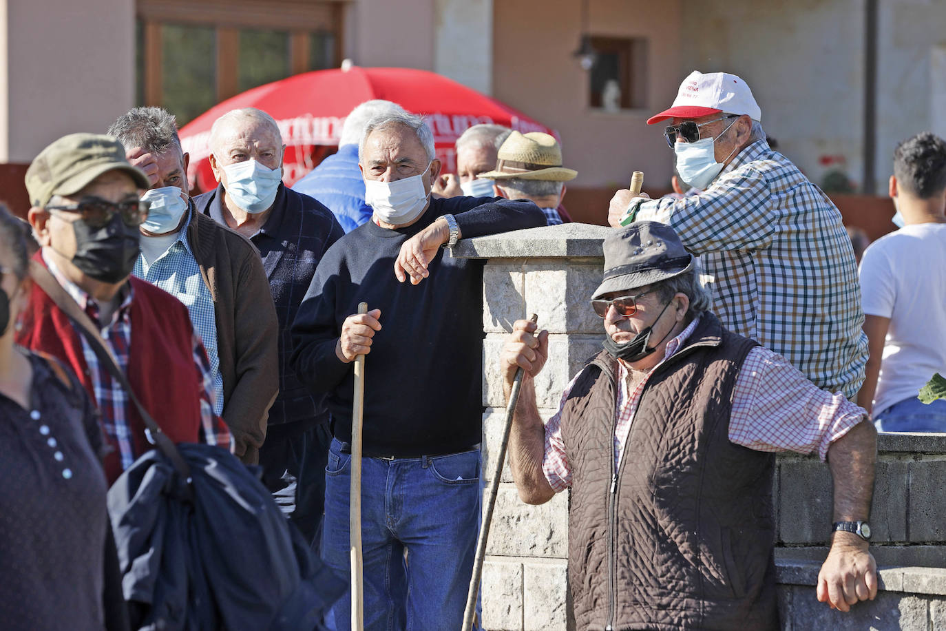 Fotos: Pasión tudanca en Cabezón de la Sal