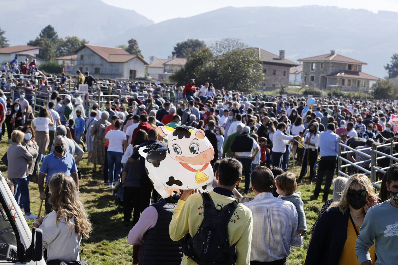 Fotos: Pasión tudanca en Cabezón de la Sal