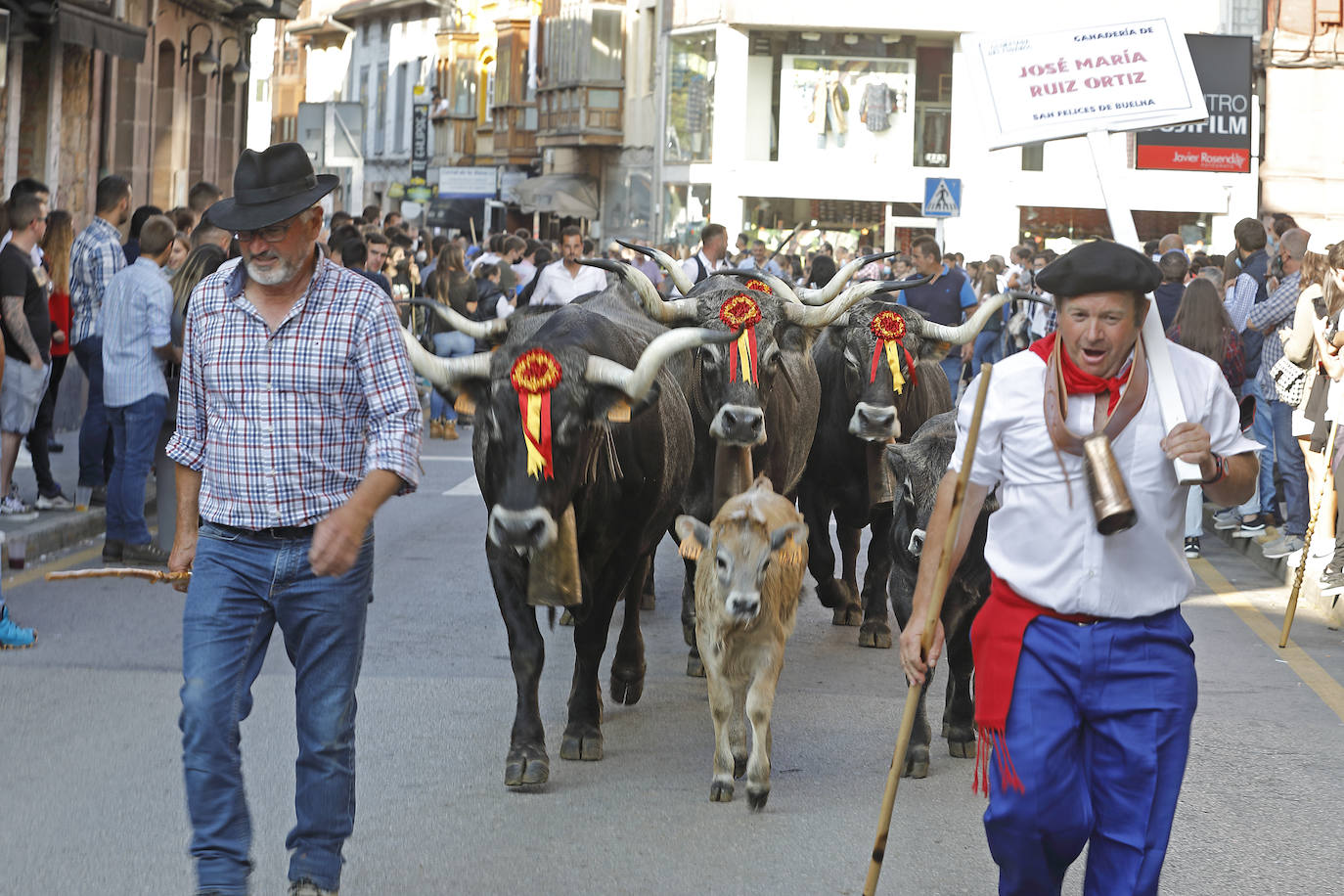 Fotos: Pasión tudanca en Cabezón de la Sal