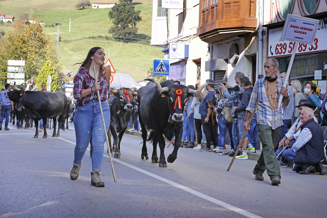 Fotos: Pasión tudanca en Cabezón de la Sal