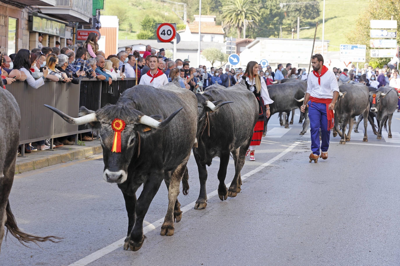 Fotos: Pasión tudanca en Cabezón de la Sal
