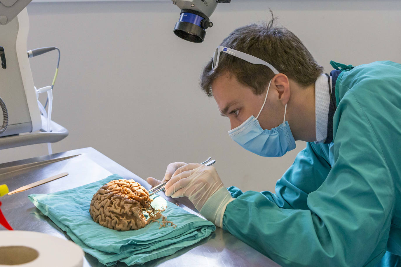 Fotos: Un curso de neurocirujía, único en el mundo, en la Facultad de medicina de Cantabria