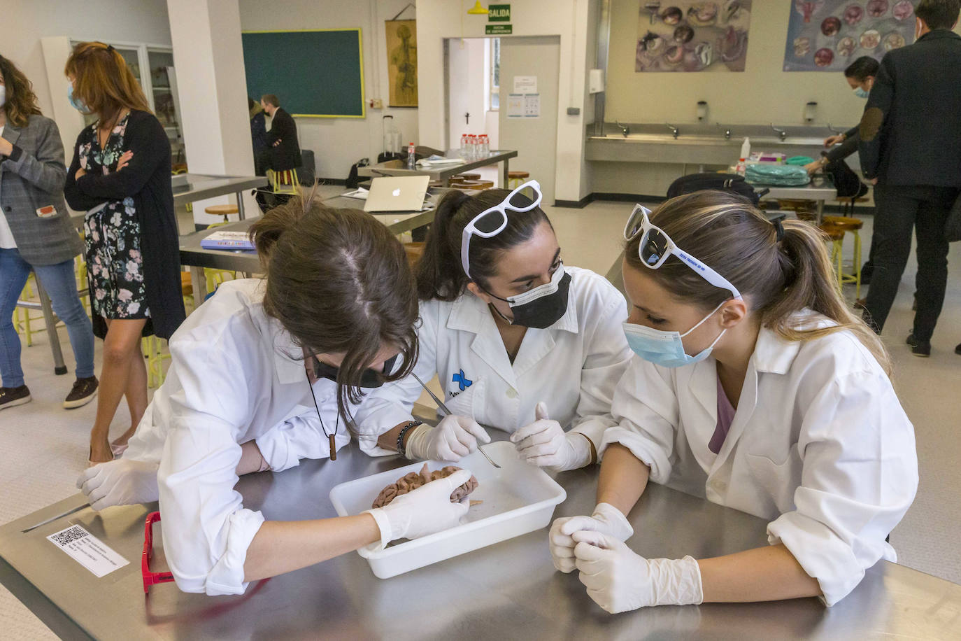 Fotos: Un curso de neurocirujía, único en el mundo, en la Facultad de medicina de Cantabria