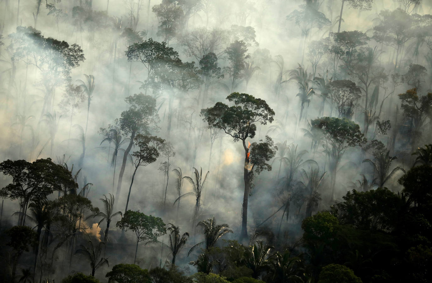 Ondas de humo de un incendio en un área de la selva amazónica cerca de Porto Velho, estado de Rondonia, Brasil.