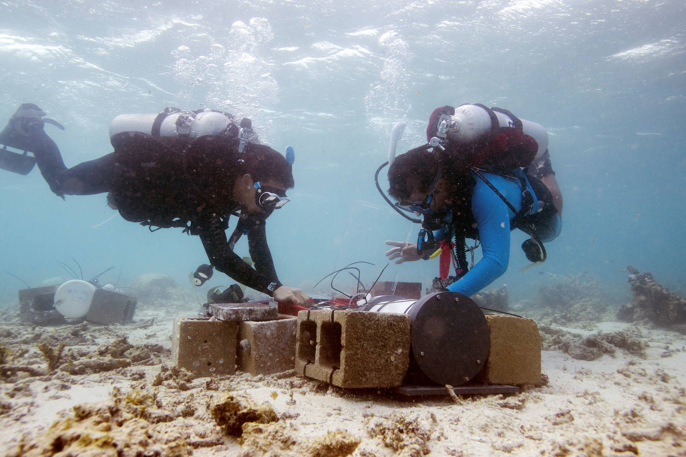 Yui Takeshita, bióloga marina del Instituto de Investigación del Acuario de la Bahía de Monterey, y Keaton Mertz bucean mientras trabajan en un proyecto con Ken Caldeira, científico atmosférico del Departamento de Ecología Global de la Carnegie Institution for Science, en una estación de investigación en la isla Lizard, frente a la costa. de Queensland, Australia.