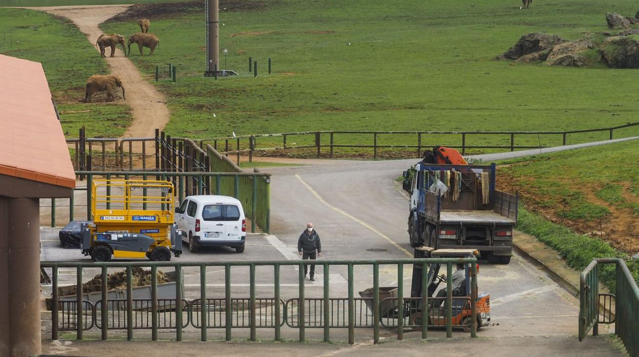 Imagen del recinto de los elefantes de Cabárceno donde se produjo el fatal accidente. 