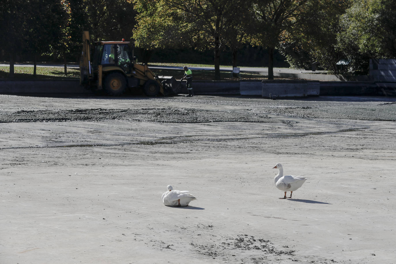 Los vecinos de Santander se han encontrado el lago artificial seco y a los patos caminando por la superficie sin agua. El Ayuntamiento aclara que se trata de una limpieza a fondo necesaria cada dos años