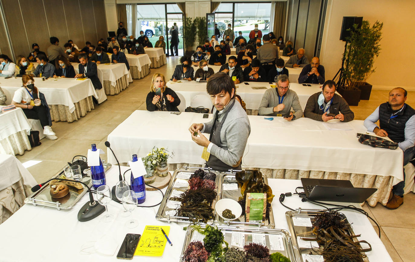 Fotos: Algas, anchoas y otras delicias de la tierra en Sabor en Cantabria