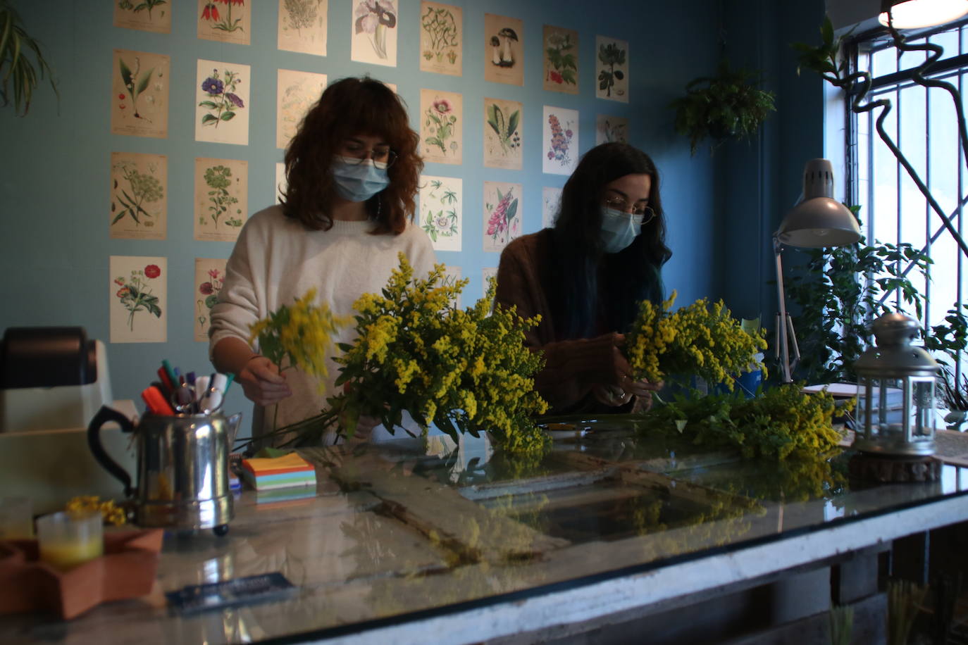 En la floristería Siempreviva de Solares apuntan que esperaban que esta campaña fuera algo mejor de lo que ha resultado, aunque ha habido "Mucho movimiento": Las predicciones tampoco se confirmaron el año pasado, que dadas las limitaciones pensaban que la tradición no se mantendría y finalmente "hubo más ventas de las que esperábamos". 