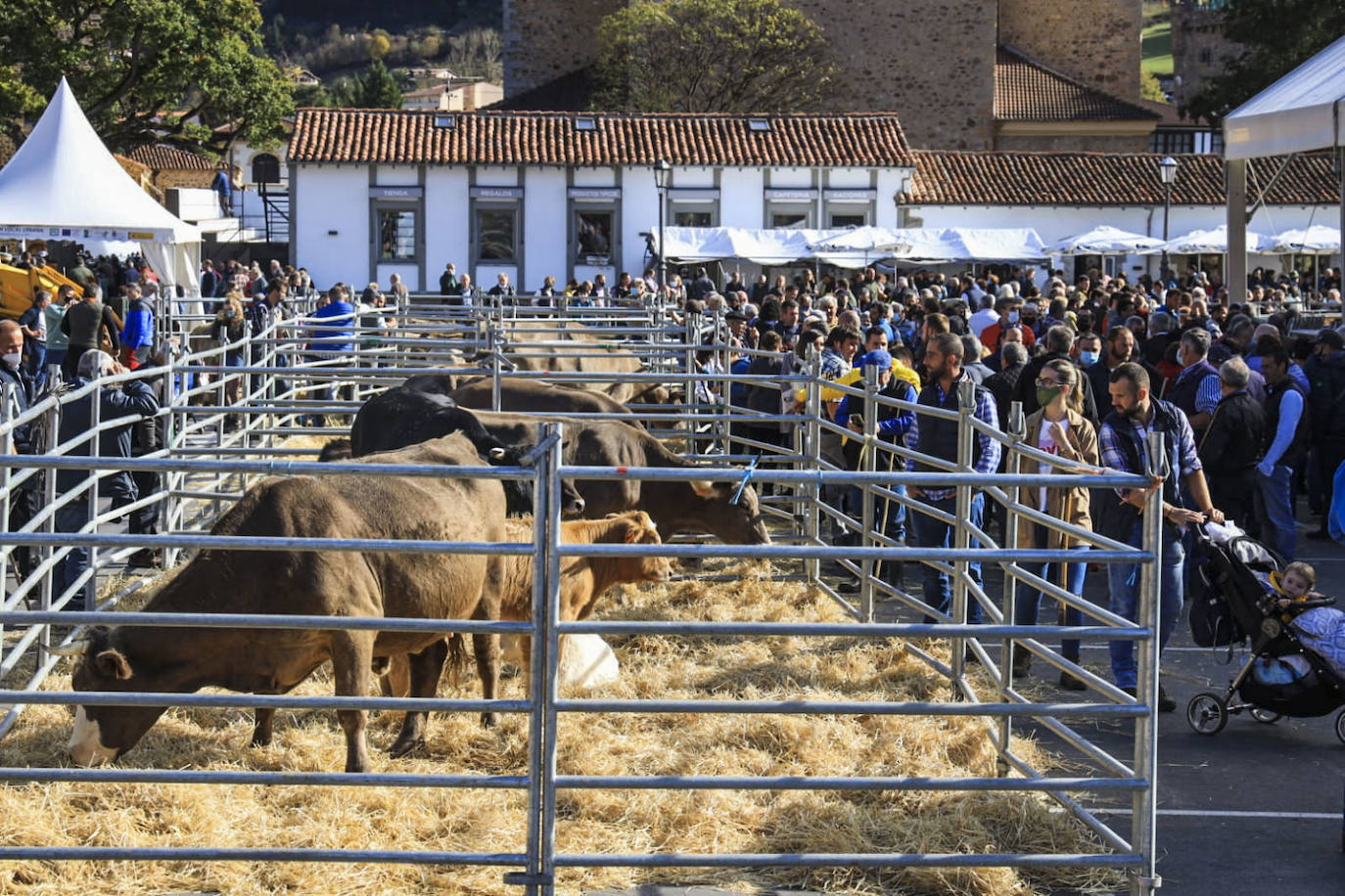 Fotos: Las mejores imágenes de la feria ganadera de Los Santos en Potes